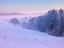 Picture of WINTER LANDSACPE IN SWITZERLAND