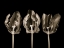 Picture of ROCOCO TULIPS