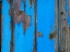 Picture of PAINT ON OLD DOOR SURFACE
