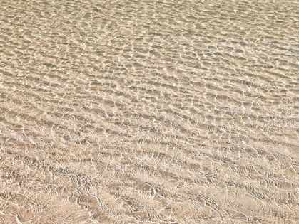Picture of SHALLOW WATER ON BEACH