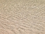 Picture of SHALLOW WATER ON BEACH