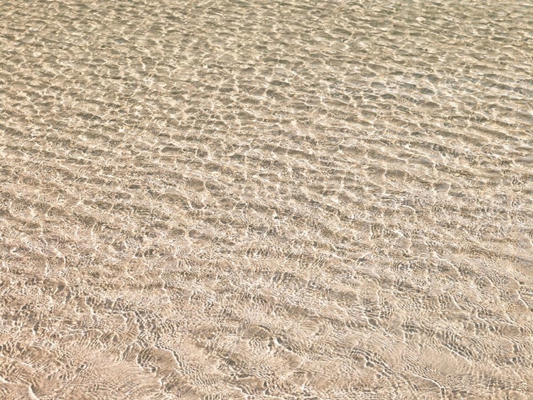 Picture of SHALLOW WATER ON BEACH