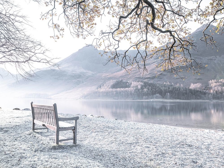 Picture of BENCH BY STILL LAKE