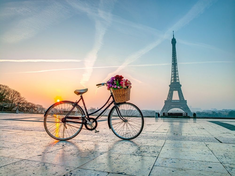 Picture of BICYCLE AND EIFFEL TOWER