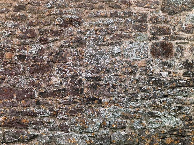 Picture of OLD WALL