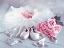 Picture of BALLET SHOES AND SKIRT