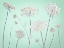 Picture of COW PARSLEY FLOWERS