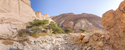 Picture of NEGEV DESERT-ISRAEL