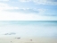 Picture of TRANQUIL BEACH