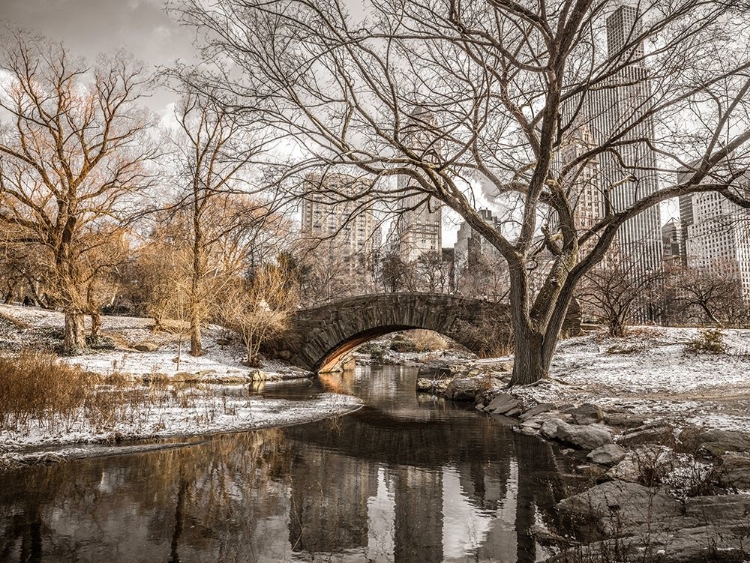 Picture of CENTRAL PARK IN NEW YORK