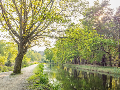 Picture of CANAL ON A SPRING DAY