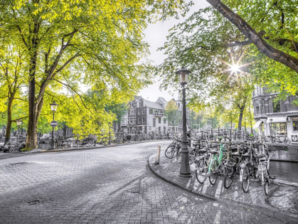 Picture of AMSTERDAM CITY STREET