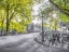 Picture of AMSTERDAM CITY STREET