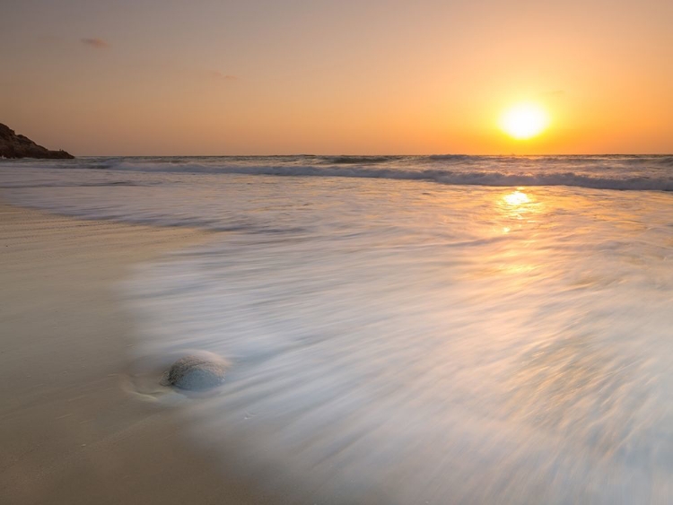 Picture of TRANQUIL BEACH SUNSET