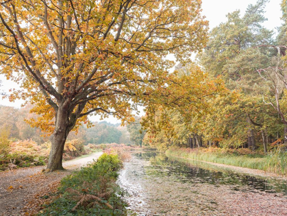 Picture of BASINGSTOKE CANAL