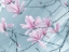 Picture of MAGNOLIA FLOWERS