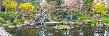 Picture of KYOTO GARDEN-LONDON