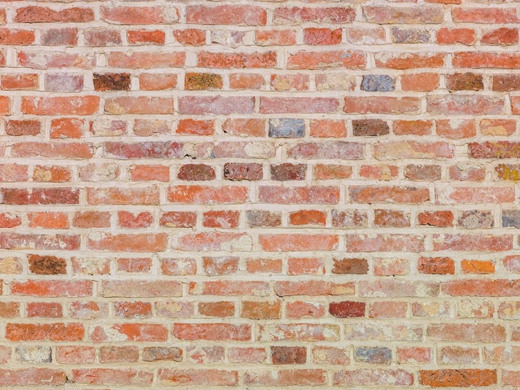 Picture of BRICK WALL