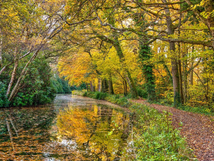 Picture of CANAL THROUGH A FOREST