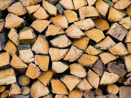 Picture of WOOD LOGS