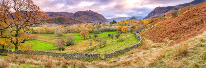 Picture of PANORAMA OF LAKE DISTRICT