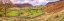 Picture of PANORAMA OF LAKE DISTRICT