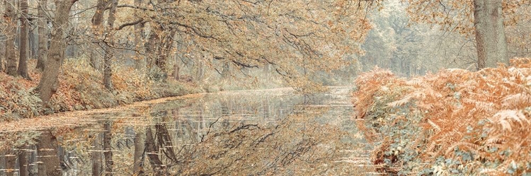 Picture of CANAL THROUGH A FOREST