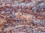 Picture of FROST ON WOOD BARK