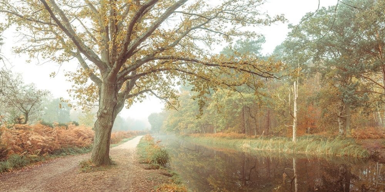 Picture of CANAL ON A AUTUMN DAY