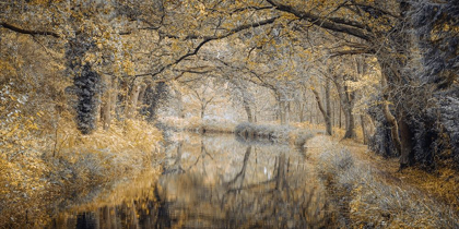 Picture of CANAL THROUGH FOREST