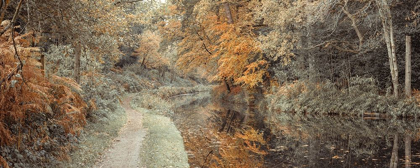 Picture of PATHWAY BY CANAL IN FOREST