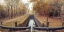 Picture of CANAL THROUGH FOREST
