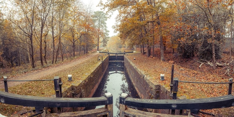 Picture of CANAL THROUGH FOREST