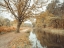 Picture of CANAL THROUGH FOREST