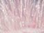 Picture of DRIED GRASS