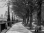 Picture of THAMES PROMENADE-LONDON