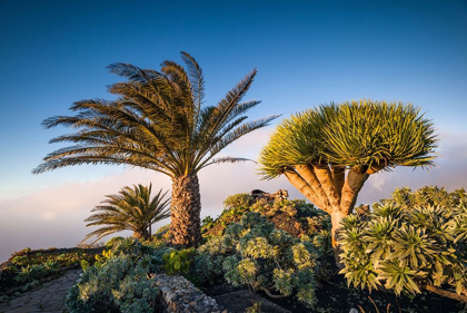 Picture of CANARY ISLANDS-EL HIERRO ISLAND-GUARAZOCA-MIRADOR DE LA PENA