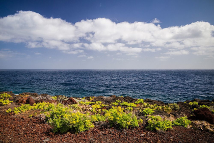 Picture of CANARY ISLANDS-EL HIERRO ISLAND-EAST COAST-CALETA-COASTAL VIEW