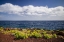 Picture of CANARY ISLANDS-EL HIERRO ISLAND-EAST COAST-CALETA-COASTAL VIEW