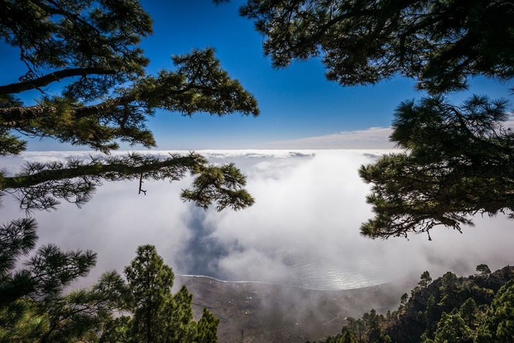 Picture of CANARY ISLANDS-EL HIERRO ISLAND-MIRADOR DE LAS PLAYAS-ELEVATED VIEW OF THE EAST COAST WITH FOG