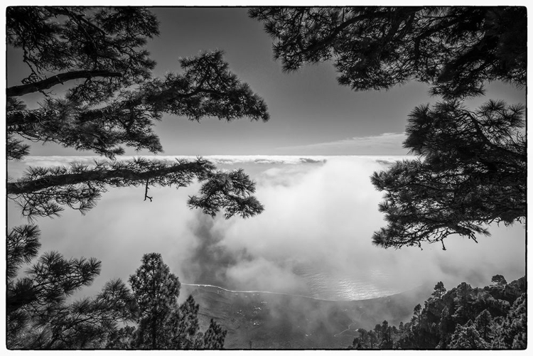 Picture of CANARY ISLANDS-EL HIERRO ISLAND-MIRADOR DE LAS PLAYAS-ELEVATED VIEW OF THE EAST COAST WITH FOG