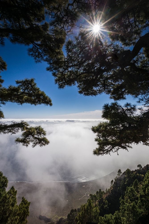 Picture of CANARY ISLANDS-EL HIERRO ISLAND-MIRADOR DE LAS PLAYAS-ELEVATED VIEW OF THE EAST COAST WITH FOG