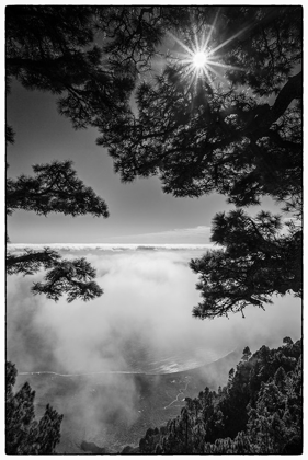 Picture of CANARY ISLANDS-EL HIERRO ISLAND-MIRADOR DE LAS PLAYAS-ELEVATED VIEW OF THE EAST COAST WITH FOG