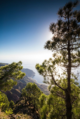 Picture of CANARY ISLANDS-EL HIERRO ISLAND-MIRADOR DE LAS PLAYAS-ELEVATED VIEW OF THE EAST COAST