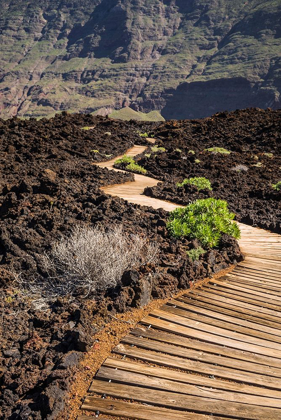 Picture of CANARY ISLANDS-EL HIERRO ISLAND-LAS PUNTAS-LA MACETA-COASTAL WALKWAY