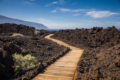 Picture of CANARY ISLANDS-EL HIERRO ISLAND-LAS PUNTAS-LA MACETA-COASTAL WALKWAY