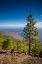 Picture of CANARY ISLANDS-EL HIERRO ISLAND-MALPASO MOUNTAIN-ELEVATION 1503 METERS