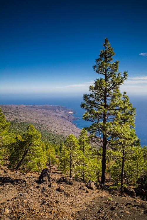 Picture of CANARY ISLANDS-EL HIERRO ISLAND-MALPASO MOUNTAIN-ELEVATION 1503 METERS