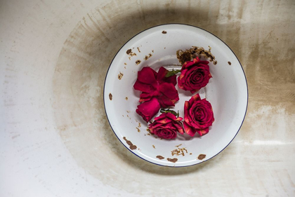 Picture of CANARY ISLANDS-TENERIFE ISLAND-LA OROTAVA-ROSES IN ANTIQUE DISH