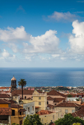 Picture of CANARY ISLANDS-TENERIFE ISLAND-LA OROTAVA-ELEVATED TOWN VIEW